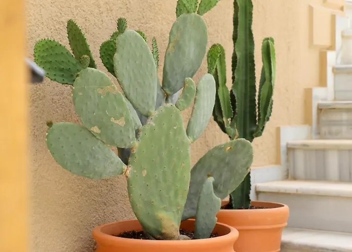 Jasmine Sol Retreat Ferienhaus Delvine